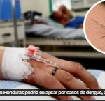 Casos de Dengue