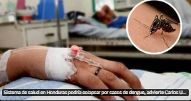 Casos de Dengue
