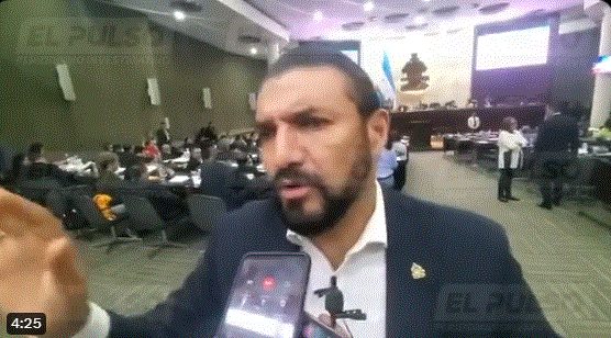 Ley Procesal Electoral