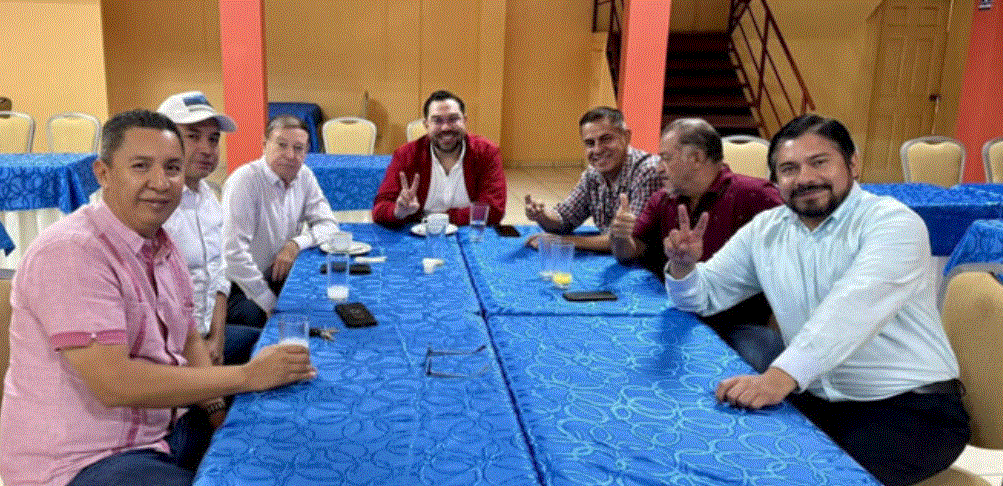 Precandidatos Presidenciales