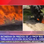 Incineración de 4,115 kilos de cocaína