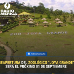 Reapertura de Joya Grande