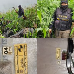 Allanamiento y erradicación de cultivos de Droga