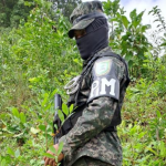 Aseguramiento de plantaciones de coca