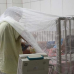 Casos de Dengue
