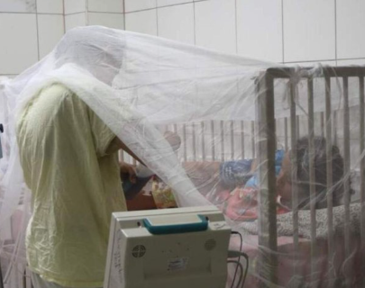 Casos de Dengue