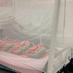 Casos de Dengue