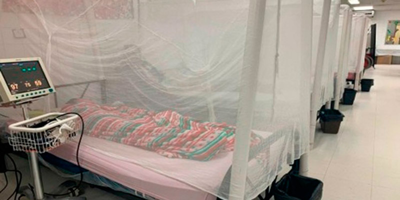 Casos de Dengue