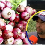 Alerta por protesta (Productores de cebolla)