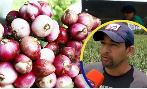 Alerta por protesta (Productores de cebolla)