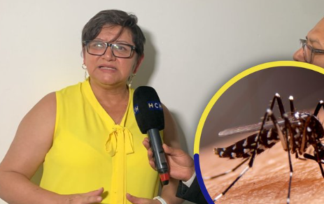 Emergencia por dengue