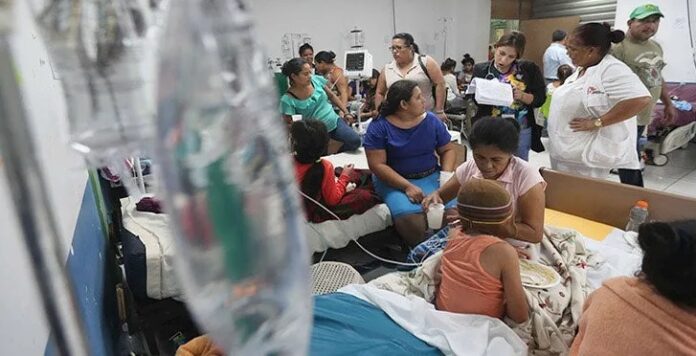 Casos de Dengue