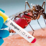 Casos de Dengue