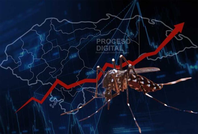 Casos de Dengue