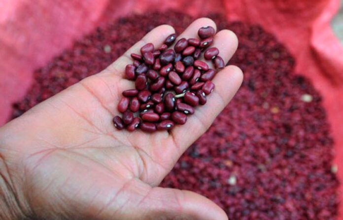 Seguridad alimentaria