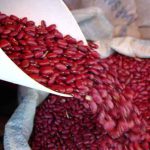 Seguridad alimentaria