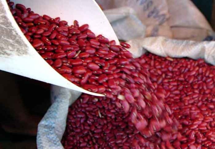 Seguridad alimentaria
