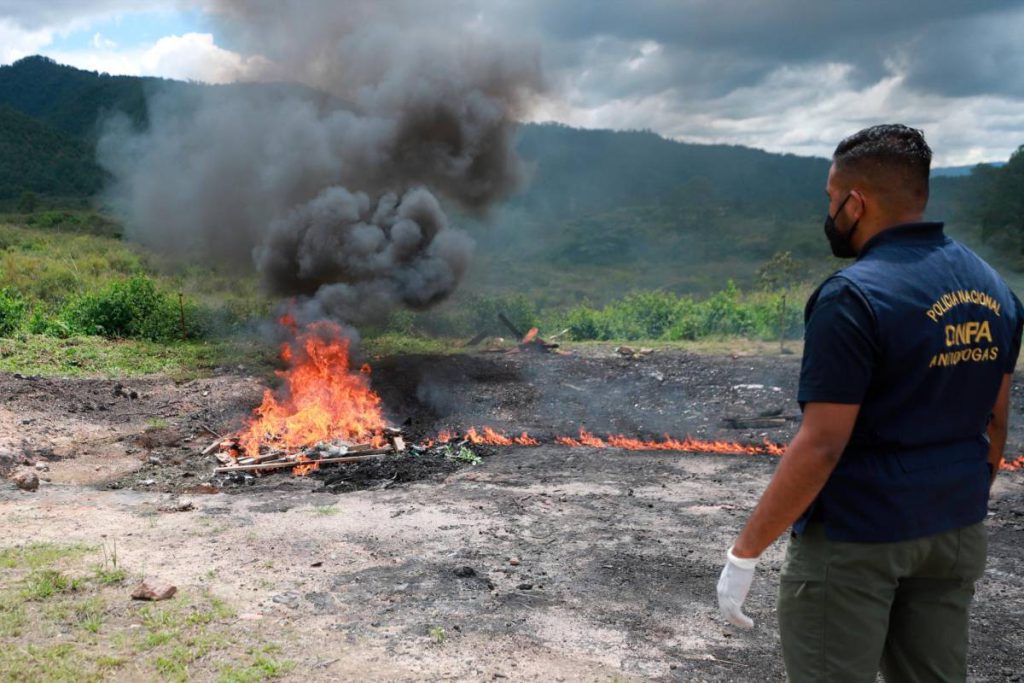 Incineración de droga incautada