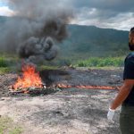 Incineración de droga incautada