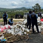 Incineración de droga incautada
