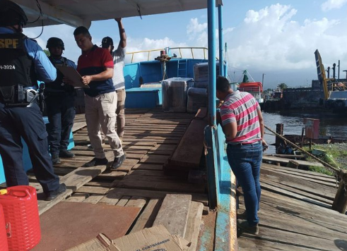 Operativos de seguridad: Confiscan carga de maderas preciosas extraída ilícitamente de La Mosquita