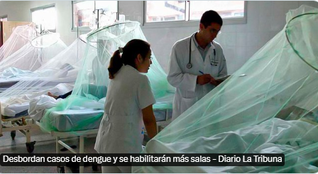 Casos de Dengue