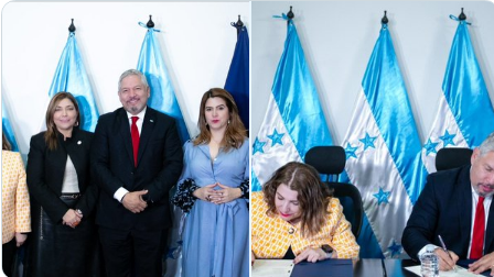 Proceso de elecciones primarias