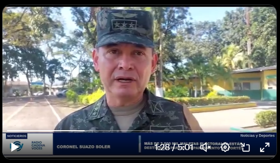 Proceso de elecciones primarias