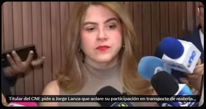 Proceso de elecciones primarias