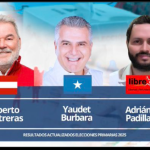 Proceso de elecciones primarias