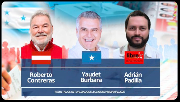 Proceso de elecciones primarias