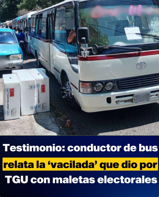 Investigaciones al proceso de elecciones primarias