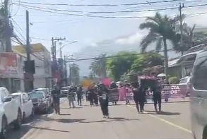 Caminata de Organizaciones Feministas