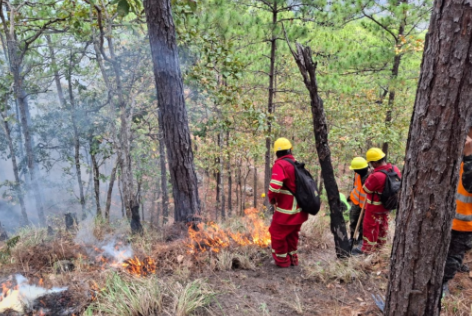 AMDC declara Alerta Amarilla por incendios forestales en distintas zonas de la capital