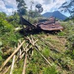 Ministerio Público neutraliza varias hectáreas en la zona de PANACAM en Cortés